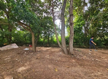 ขายที่ดิน 2ไร่ 2งาน 42ตารางวา ใกล้มหาวิทยาลัยมหาสารคาม