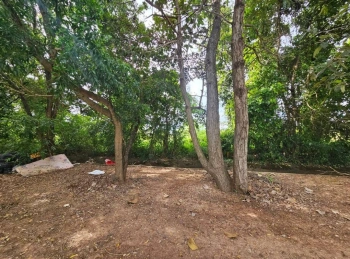 ขายที่ดิน 2ไร่ 2งาน 42ตารางวา ใกล้มหาวิทยาลัยมหาสารคาม