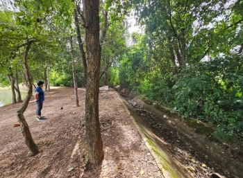 ขายที่ดิน 2ไร่ 2งาน 42ตารางวา ใกล้มหาวิทยาลัยมหาสารคาม