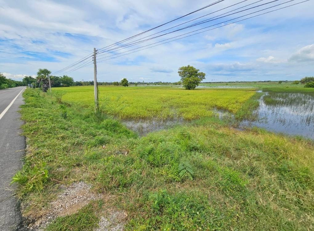 ขายที่ดิน สวย วิวธรรมชาติ 4ไร่ 2งาน 80ตรว. อ.กันทรวิชัย มหาสารคาม