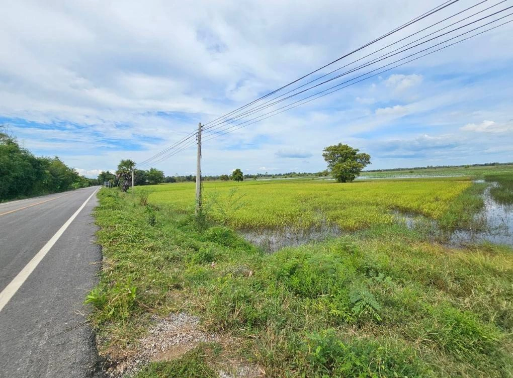 ขายที่ดิน สวย วิวธรรมชาติ 4ไร่ 2งาน 80ตรว. อ.กันทรวิชัย มหาสารคาม