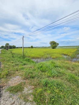 ขายที่ดิน สวย วิวธรรมชาติ 4ไร่ 2งาน 80ตรว. อ.กันทรวิชัย มหาสารคาม