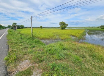 ขายที่ดิน สวย วิวธรรมชาติ 4ไร่ 2งาน 80ตรว. อ.กันทรวิชัย มหาสารคาม