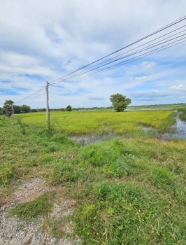 ขายที่ดิน สวย วิวธรรมชาติ 4ไร่ 2งาน 80ตรว. อ.กันทรวิชัย มหาสารคาม