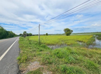 ขายที่ดิน สวย วิวธรรมชาติ 4ไร่ 2งาน 80ตรว. อ.กันทรวิชัย มหาสารคาม