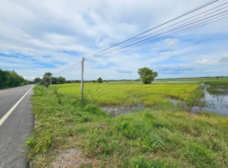 ขายที่ดิน สวย วิวธรรมชาติ 4ไร่ 2งาน 80ตรว. อ.กันทรวิชัย มหาสารคาม