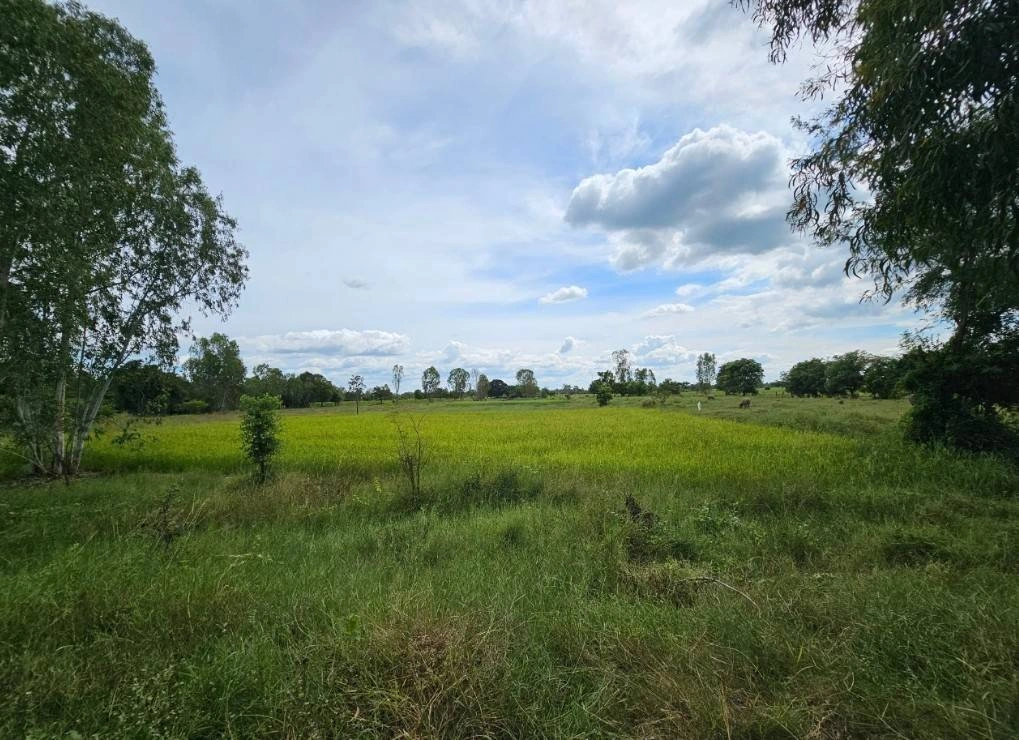 ขายที่ดิน จังหวัดมหาสารคาม ติดทางสาธารณะ เนื้อที่ 4 ไร่ 3 งาน 4 ตารางวา