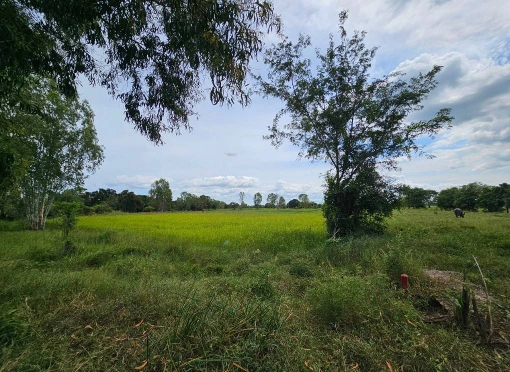 ขายที่ดิน จังหวัดมหาสารคาม ติดทางสาธารณะ เนื้อที่ 4 ไร่ 3 งาน 4 ตารางวา