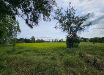 ขายที่ดิน จังหวัดมหาสารคาม ติดทางสาธารณะ เนื้อที่ 4 ไร่ 3 งาน 4 ตารางวา