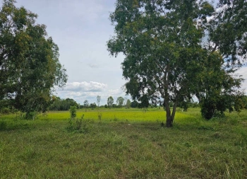 ขายที่ดิน จังหวัดมหาสารคาม ติดทางสาธารณะ เนื้อที่ 4 ไร่ 3 งาน 4 ตารางวา