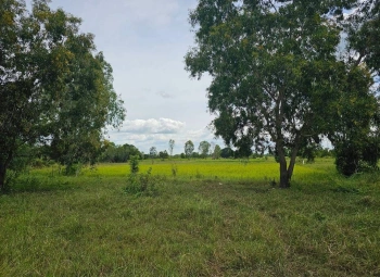 ขายที่ดิน จังหวัดมหาสารคาม ติดทางสาธารณะ เนื้อที่ 4 ไร่ 3 งาน 4 ตารางวา