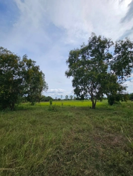 ขายที่ดิน จังหวัดมหาสารคาม ติดทางสาธารณะ เนื้อที่ 4 ไร่ 3 งาน 4 ตารางวา