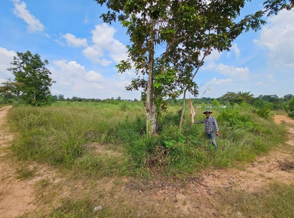 ขายที่ดิน โฉนด น.ส.3ก. อยู่ใกล้ชุมชนห้วยยายจิ๋ว ชัยภูมิ