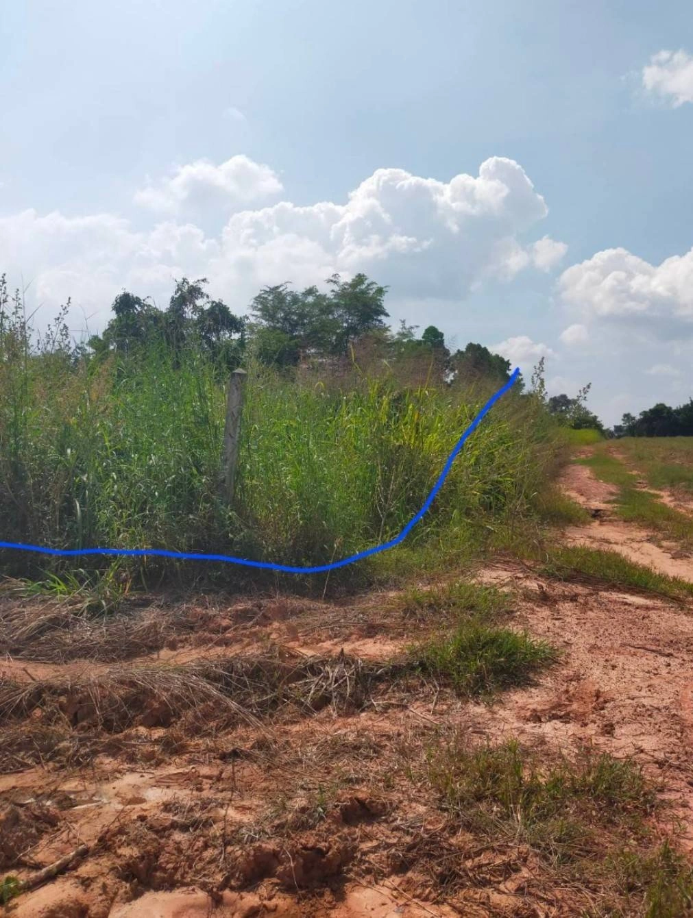 ขายที่ดิน โฉนด น.ส.3ก. อยู่ใกล้ชุมชนห้วยยายจิ๋ว ชัยภูมิ