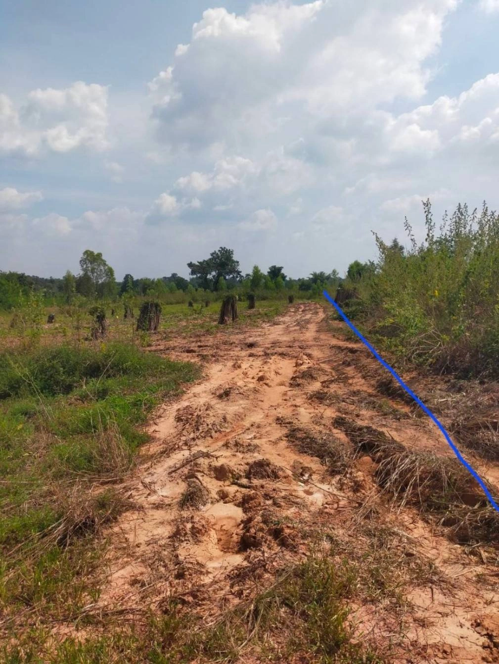 ขายที่ดิน โฉนด น.ส.3ก. อยู่ใกล้ชุมชนห้วยยายจิ๋ว ชัยภูมิ