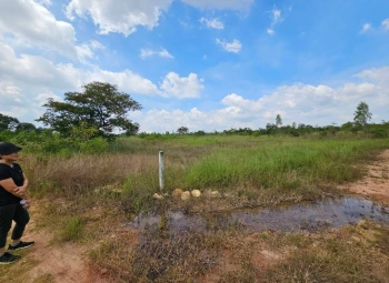 ขายที่ดิน โฉนด น.ส.3ก. อยู่ใกล้ชุมชนห้วยยายจิ๋ว ชัยภูมิ