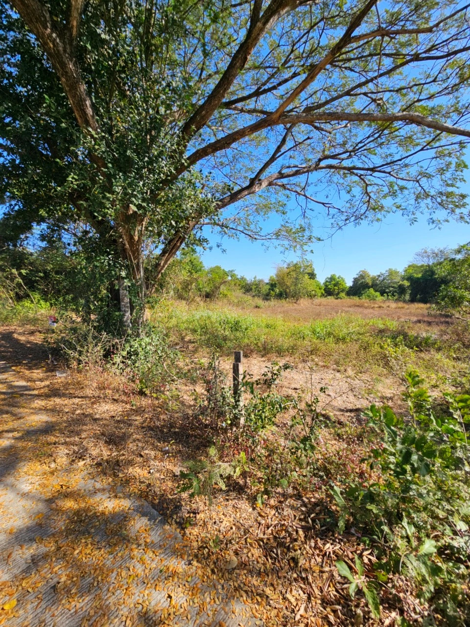 ที่สวยวิวธรรมชาติ เนื้อที่ 2 งาน 26 ตารางวา จังหวัดอุดรธานี