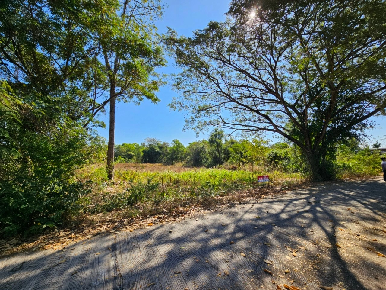 ที่สวยวิวธรรมชาติ เนื้อที่ 2 งาน 26 ตารางวา จังหวัดอุดรธานี