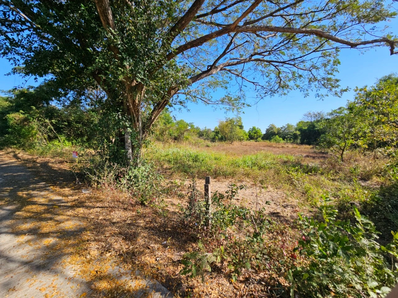 ที่สวยวิวธรรมชาติ เนื้อที่ 2 งาน 26 ตารางวา จังหวัดอุดรธานี