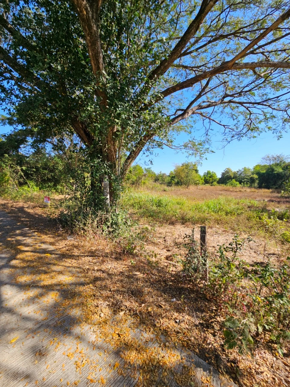 ที่สวยวิวธรรมชาติ เนื้อที่ 2 งาน 26 ตารางวา จังหวัดอุดรธานี