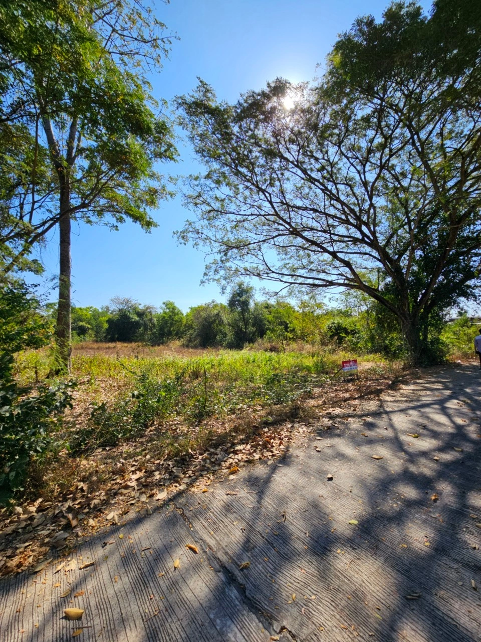 ที่สวยวิวธรรมชาติ เนื้อที่ 2 งาน 26 ตารางวา จังหวัดอุดรธานี