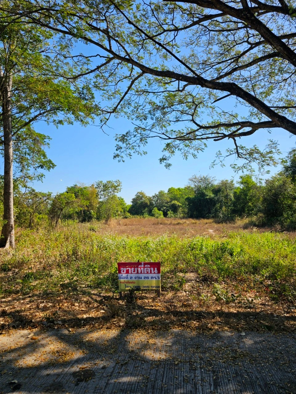 ที่สวยวิวธรรมชาติ เนื้อที่ 2 งาน 26 ตารางวา จังหวัดอุดรธานี