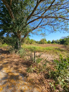 ที่สวยวิวธรรมชาติ เนื้อที่ 2 งาน 26 ตารางวา จังหวัดอุดรธานี