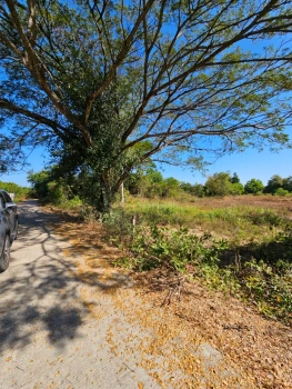 ที่สวยวิวธรรมชาติ เนื้อที่ 2 งาน 26 ตารางวา จังหวัดอุดรธานี