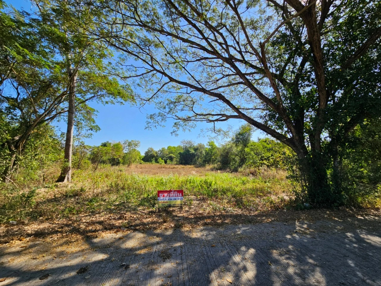 ที่สวยวิวธรรมชาติ เนื้อที่ 2 งาน 26 ตารางวา จังหวัดอุดรธานี