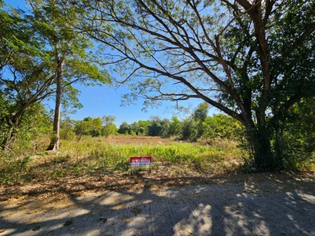 ที่สวยวิวธรรมชาติ เนื้อที่ 2 งาน 26 ตารางวา จังหวัดอุดรธานี