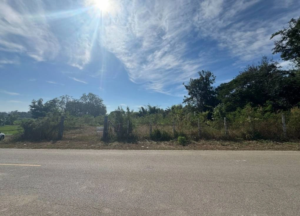 ขายที่ดินเปล่าติดถนน นิคมพัฒนา อำเภอเมืองลำปาง