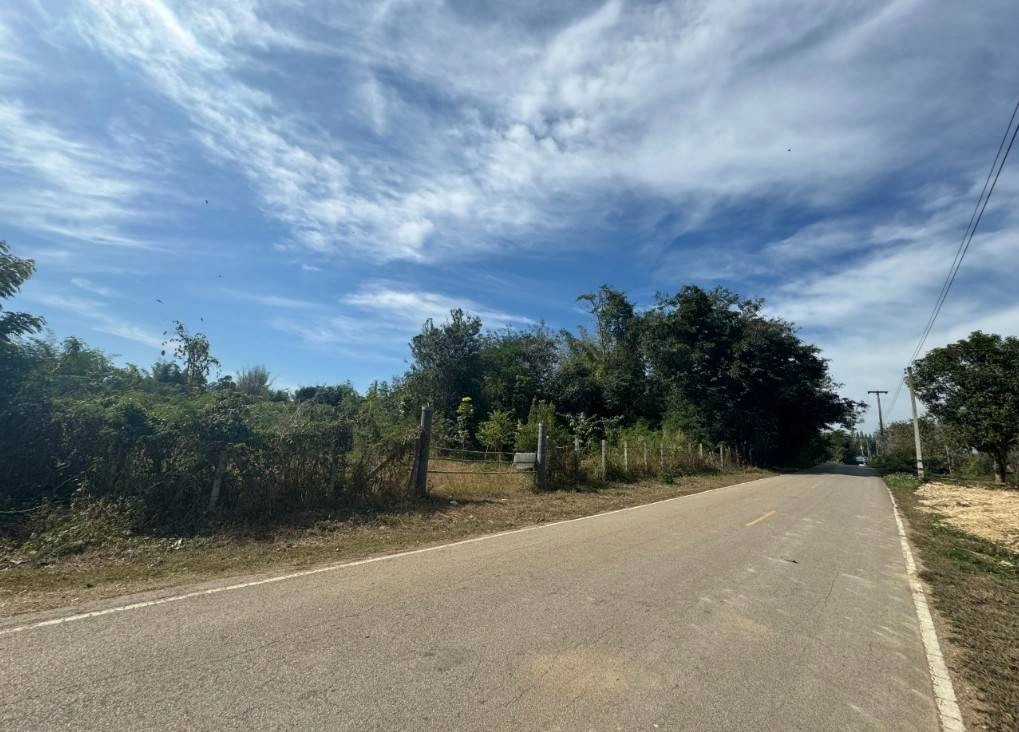 ขายที่ดินเปล่าติดถนน นิคมพัฒนา อำเภอเมืองลำปาง