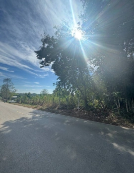 ขายที่ดินเปล่าติดถนน นิคมพัฒนา อำเภอเมืองลำปาง