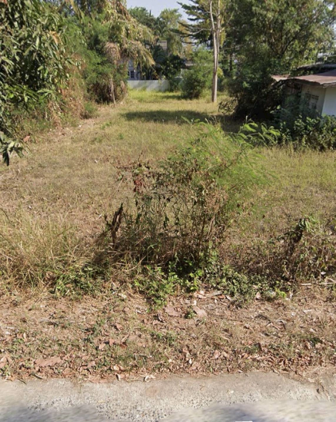 ที่ดินพร้อมบ้าน ติดถนน อำเภอเมือง จังหวัดสุรินทร์