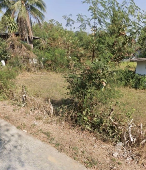 ที่ดินพร้อมบ้าน ติดถนน อำเภอเมือง จังหวัดสุรินทร์