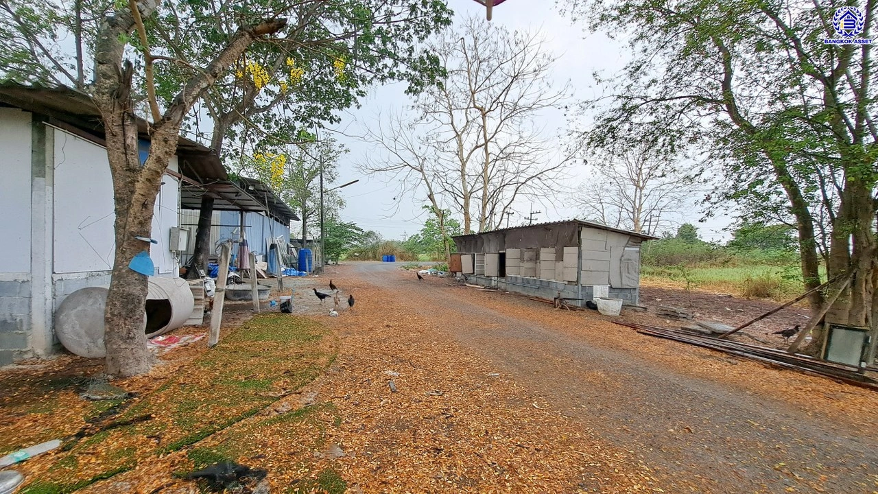 ที่ดินเปล่าปทุมธานี เนื้อที่กว้างถึง 1 งาน บนทำเลเดินทางสะดวก เข้า-ออกตัวเมืองได้ง่าย ใกล้เซ็นทรัล ฟิวเจอร์พาร์ค รังสิต และโรงพยาบาลคลองหลวง