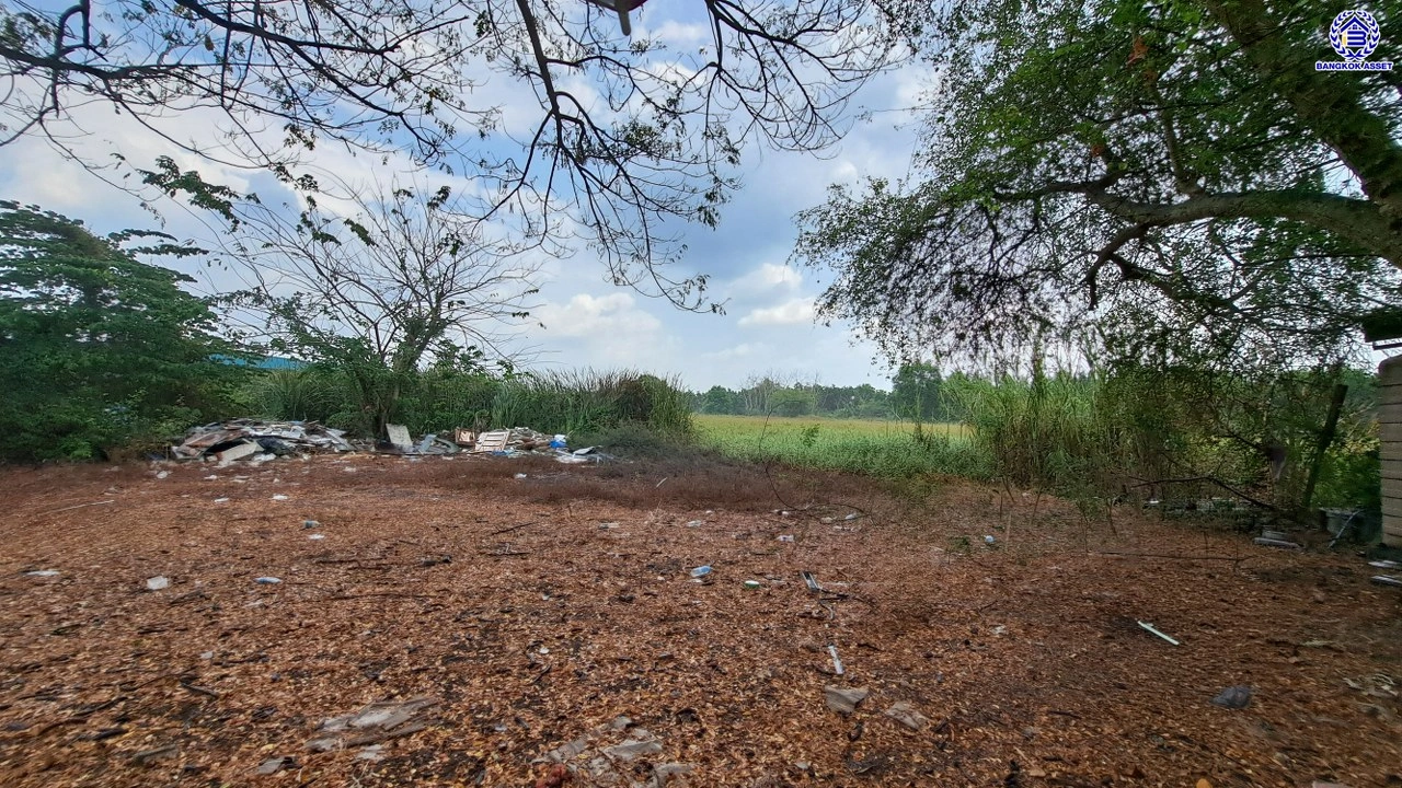 ที่ดินเปล่าปทุมธานี เนื้อที่กว้างถึง 1 งาน บนทำเลเดินทางสะดวก เข้า-ออกตัวเมืองได้ง่าย ใกล้เซ็นทรัล ฟิวเจอร์พาร์ค รังสิต และโรงพยาบาลคลองหลวง