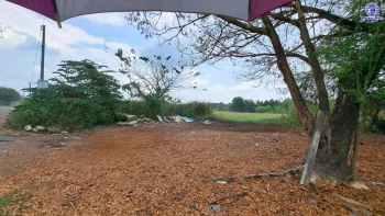 ที่ดินเปล่าปทุมธานี เนื้อที่กว้างถึง 1 งาน บนทำเลเดินทางสะดวก เข้า-ออกตัวเมืองได้ง่าย ใกล้เซ็นทรัล ฟิวเจอร์พาร์ค รังสิต และโรงพยาบาลคลองหลวง