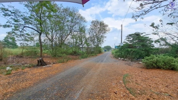 ที่ดินเปล่าปทุมธานี เนื้อที่กว้างถึง 1 งาน บนทำเลเดินทางสะดวก เข้า-ออกตัวเมืองได้ง่าย ใกล้เซ็นทรัล ฟิวเจอร์พาร์ค รังสิต และโรงพยาบาลคลองหลวง