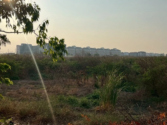 ขายที่ดินแปลงใหญ่ 20 ไร่ 80.40 ตรว. ติดนิคมอุตสาหกรรมโรจนะ 1 ต.คานหาม อ.อุทัย จ.พระนครศรีอยุธยา ราคา 121,100,000 บาท