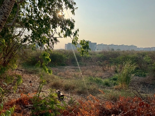 ขายที่ดินแปลงใหญ่ 20 ไร่ 80.40 ตรว. ติดนิคมอุตสาหกรรมโรจนะ 1 ต.คานหาม อ.อุทัย จ.พระนครศรีอยุธยา ราคา 121,100,000 บาท