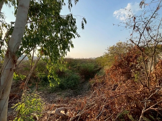 ขายที่ดินแปลงใหญ่ 20 ไร่ 80.40 ตรว. ติดนิคมอุตสาหกรรมโรจนะ 1 ต.คานหาม อ.อุทัย จ.พระนครศรีอยุธยา ราคา 121,100,000 บาท