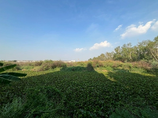 ขายที่ดินแปลงใหญ่ 20 ไร่ 80.40 ตรว. ติดนิคมอุตสาหกรรมโรจนะ 1 ต.คานหาม อ.อุทัย จ.พระนครศรีอยุธยา ราคา 121,100,000 บาท