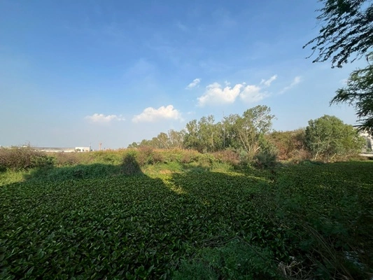 ขายที่ดินแปลงใหญ่ 20 ไร่ 80.40 ตรว. ติดนิคมอุตสาหกรรมโรจนะ 1 ต.คานหาม อ.อุทัย จ.พระนครศรีอยุธยา ราคา 121,100,000 บาท