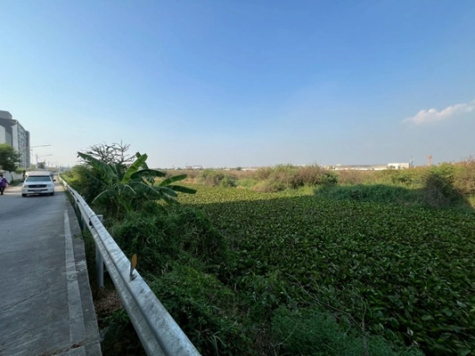 ขายที่ดินแปลงใหญ่ 20 ไร่ 80.40 ตรว. ติดนิคมอุตสาหกรรมโรจนะ 1 ต.คานหาม อ.อุทัย จ.พระนครศรีอยุธยา ราคา 121,100,000 บาท