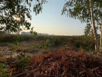 ขายที่ดินแปลงใหญ่ 20 ไร่ 80.40 ตรว. ติดนิคมอุตสาหกรรมโรจนะ 1 ต.คานหาม อ.อุทัย จ.พระนครศรีอยุธยา ราคา 121,100,000 บาท