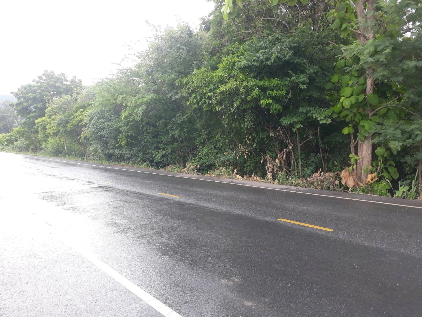 ขายที่ดินเปล่า โอกาสสำหรับนักลงทุน จ.สระบุรี 24 ไร่  15 ล้านบาท