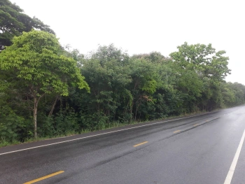 ขายที่ดินเปล่า โอกาสสำหรับนักลงทุน จ.สระบุรี 24 ไร่  15 ล้านบาท