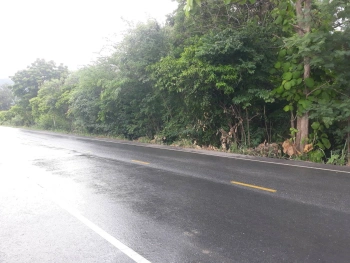 ขายที่ดินเปล่า โอกาสสำหรับนักลงทุน จ.สระบุรี 24 ไร่  15 ล้านบาท