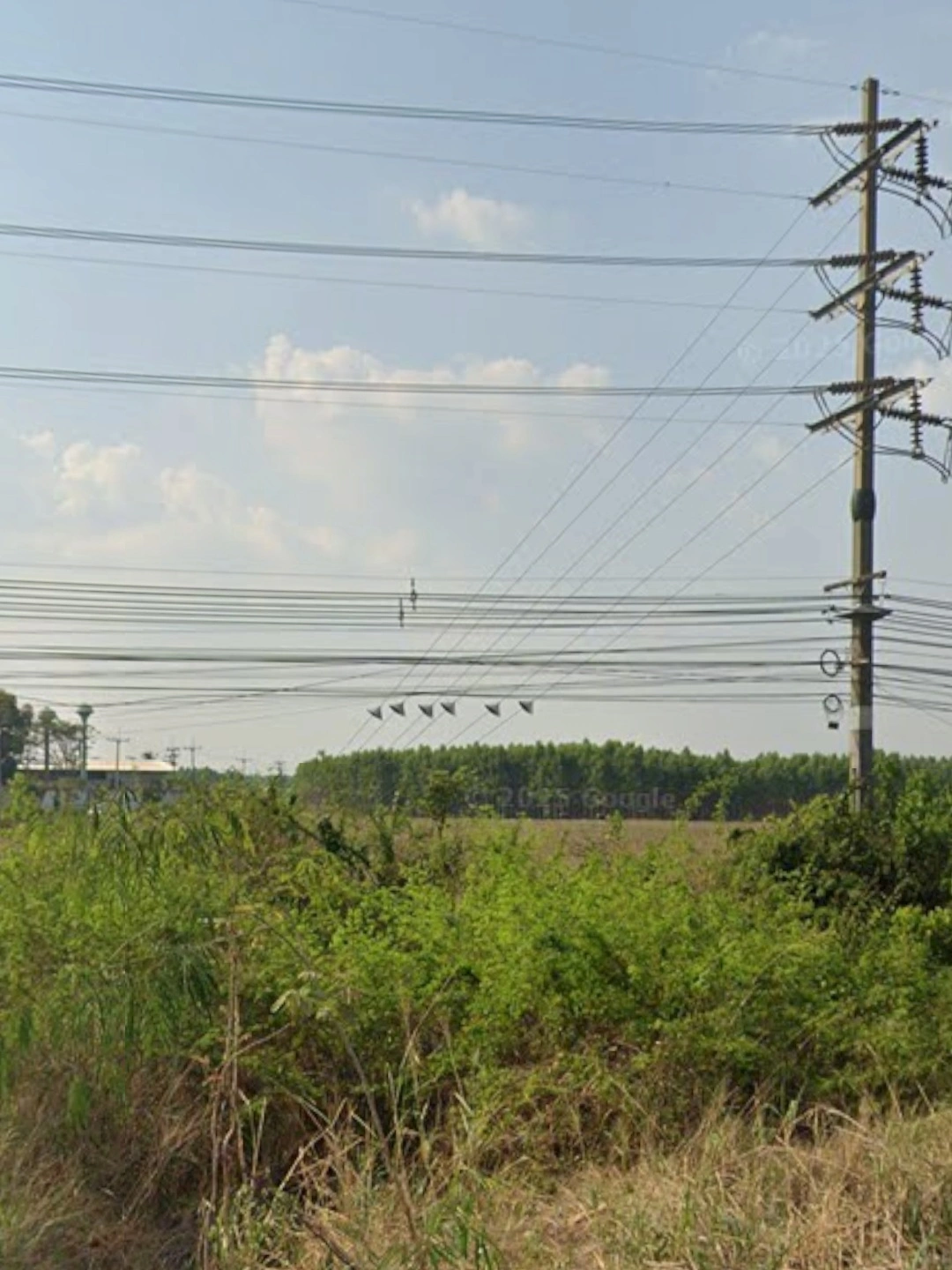 ขายที่ดินสีม่วง 76ไร่  ตินถนนทางหลวง 304 ฉะเชิงเทรา-กบินทร์บุรี